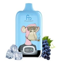 FUMOT DIGITAL 12K PUFFS (49 flavors)