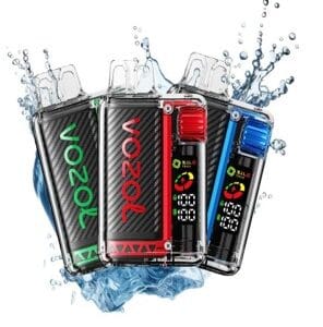 VOZOL Fiesta 20k Flavor 20